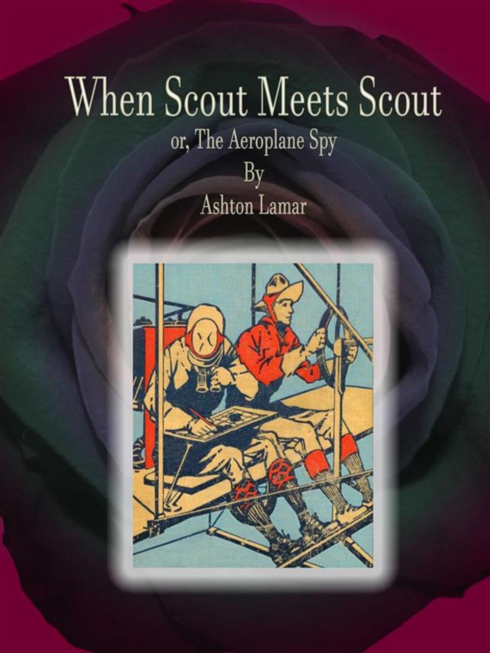 Big bigCover of When Scout Meets Scout