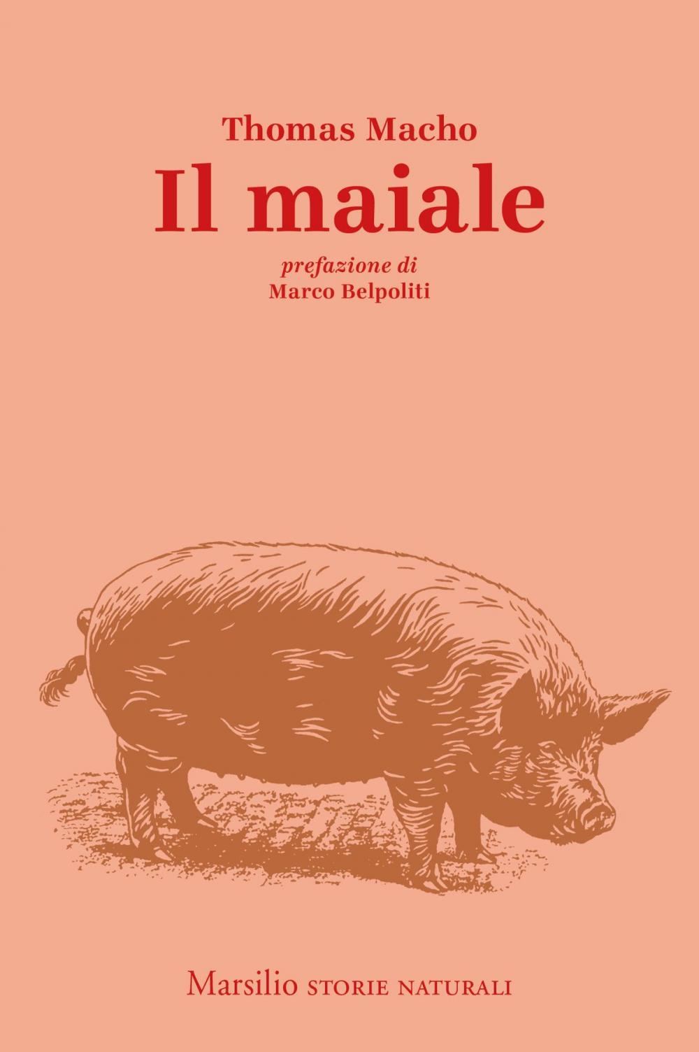 Big bigCover of Il maiale