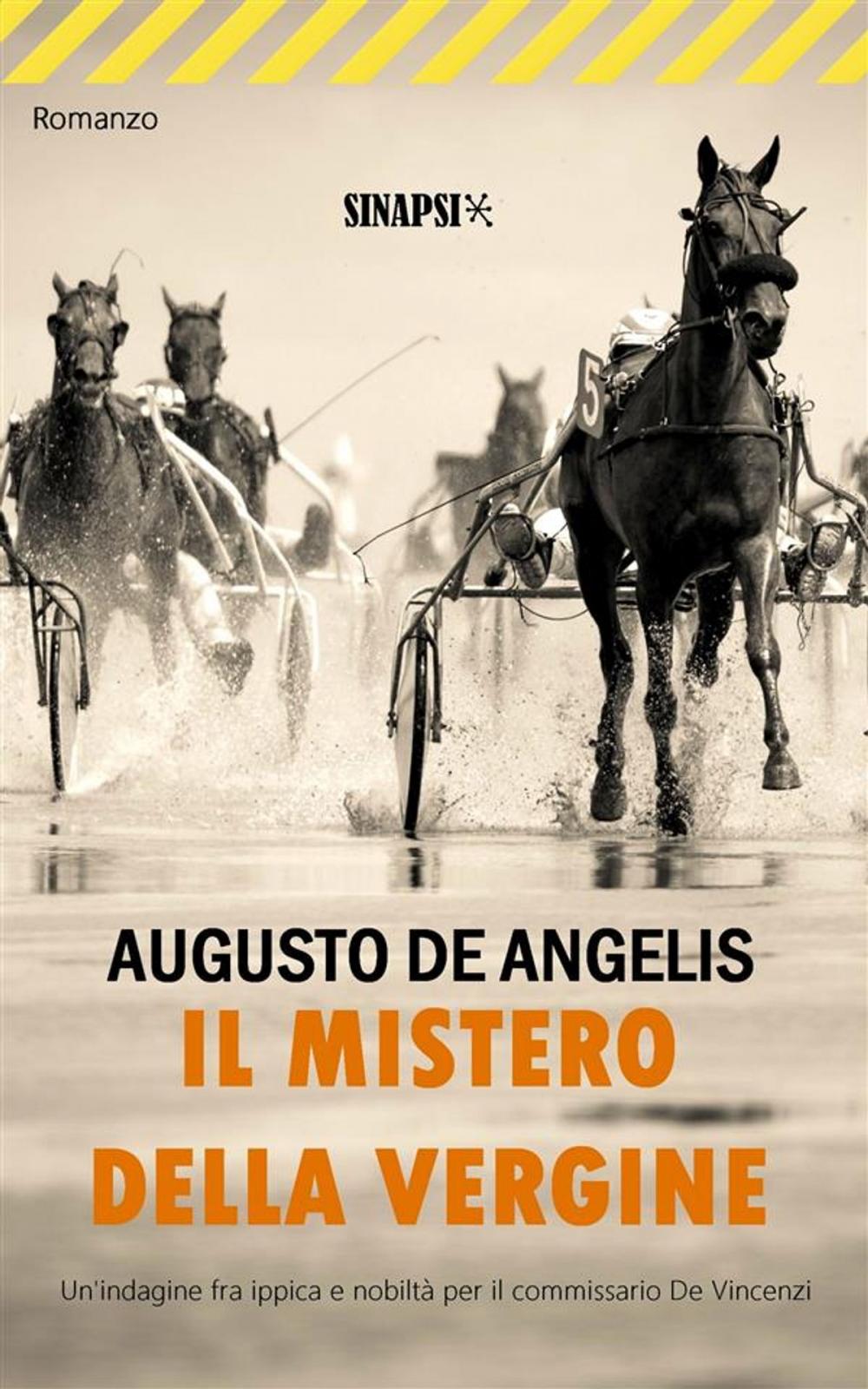 Big bigCover of Il mistero della Vergine