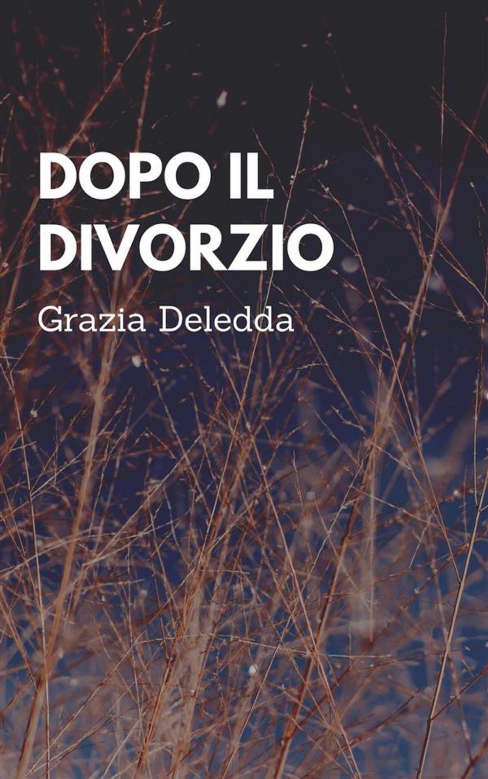 Big bigCover of Dopo il divorzio