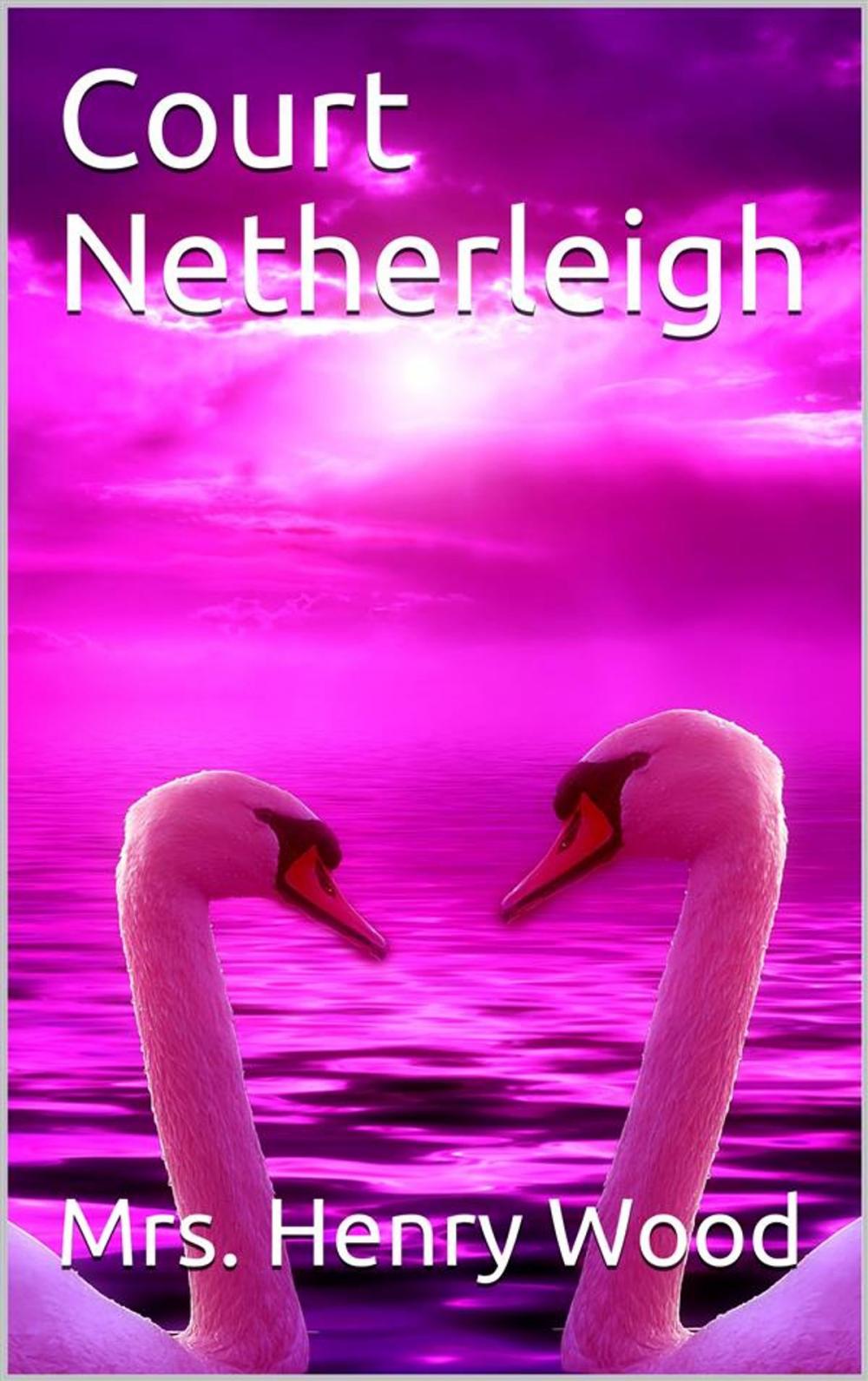 Big bigCover of Court Netherleigh / A Novel