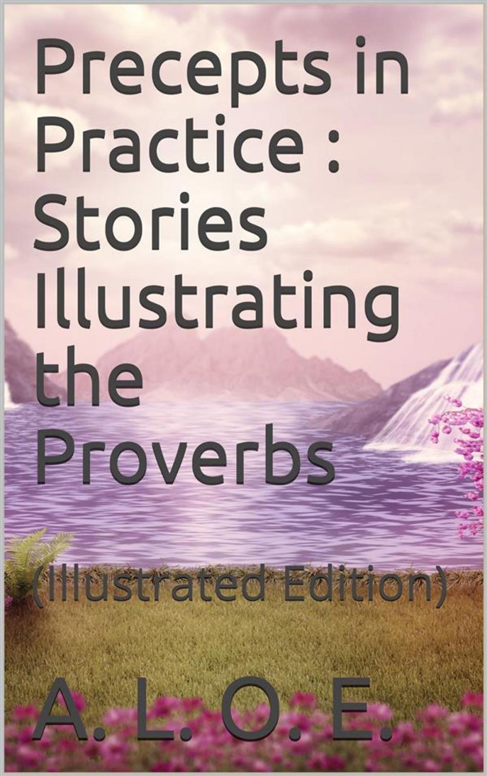 Big bigCover of Precepts in Practice; / or, Stories Illustrating the Proverbs