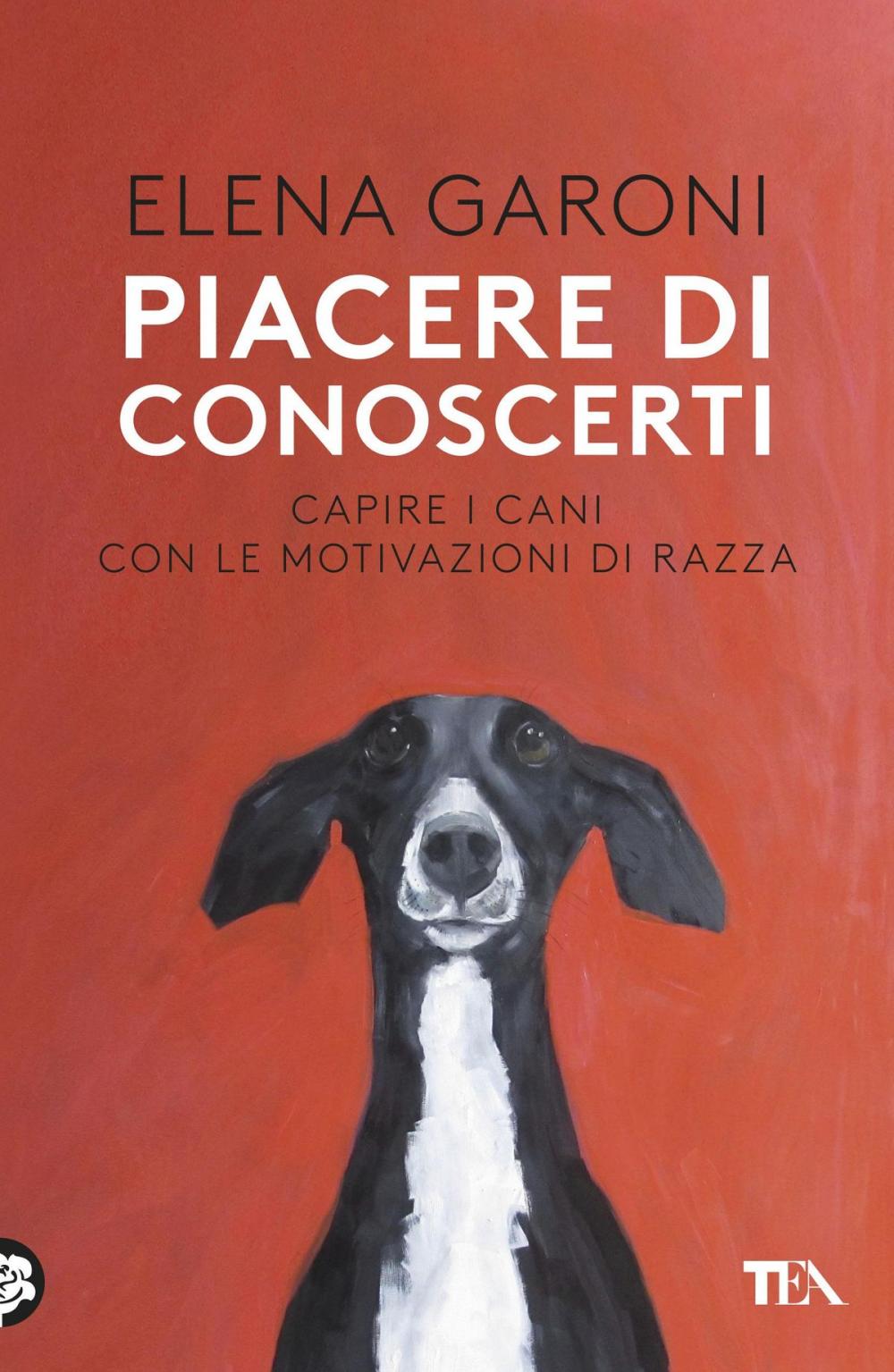 Big bigCover of Piacere di conoscerti