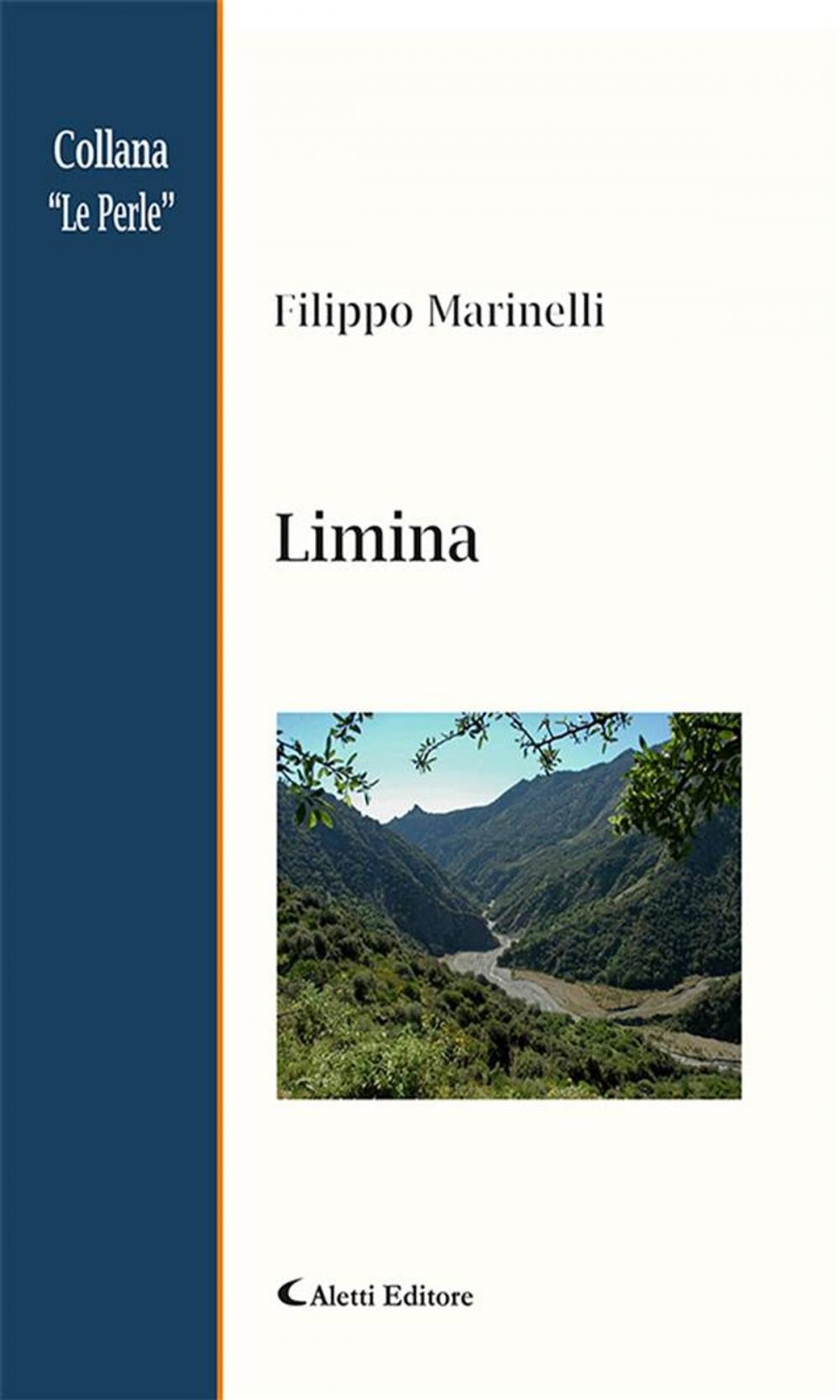 Big bigCover of Limina