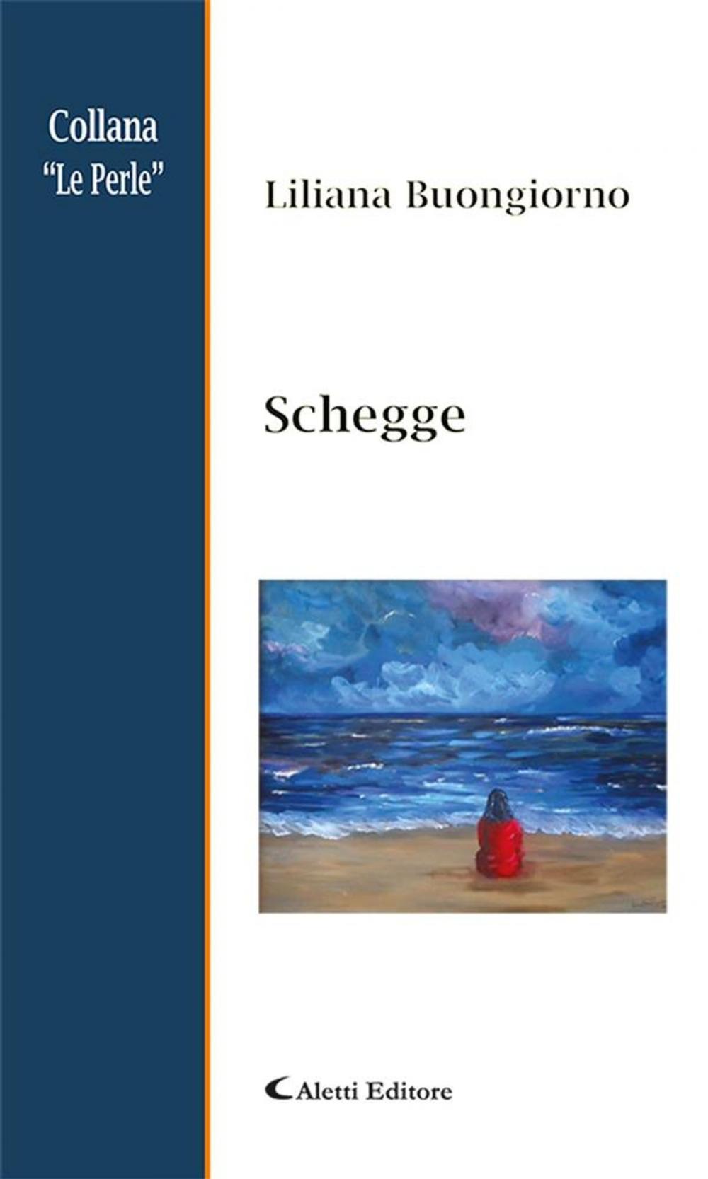 Big bigCover of Schegge