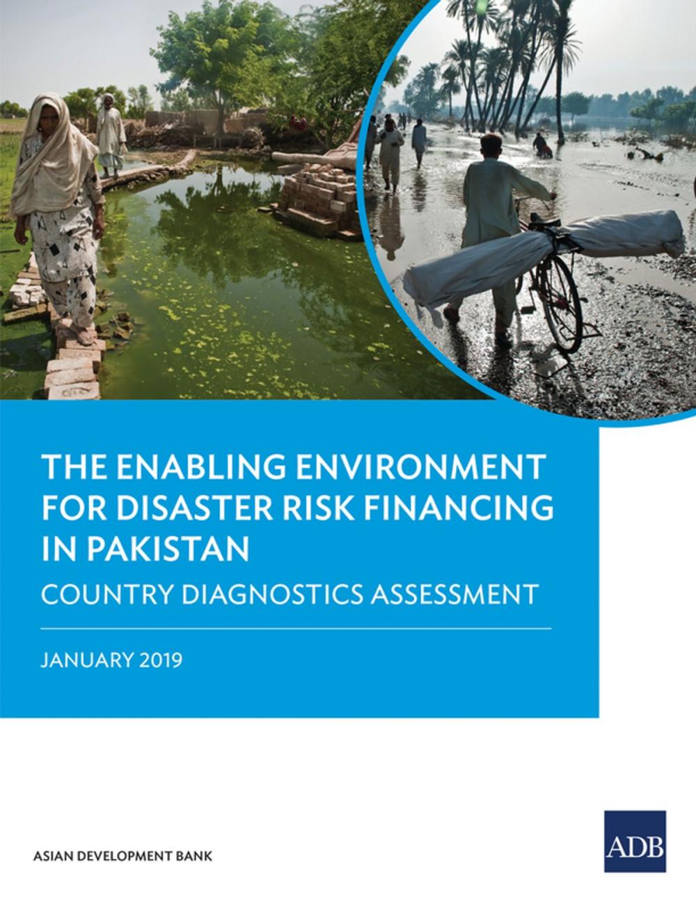 Big bigCover of The Enabling Environment for Disaster Risk Financing in Pakistan