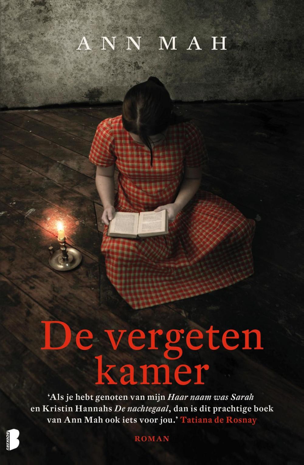 Big bigCover of De vergeten kamer