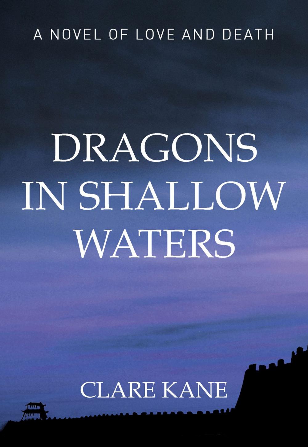 Big bigCover of Dragons in Shallow Waters