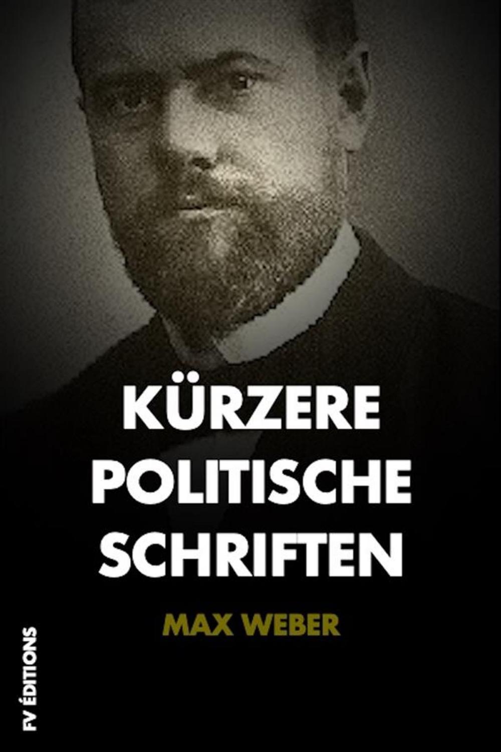 Big bigCover of Kürzere Politische Schriften