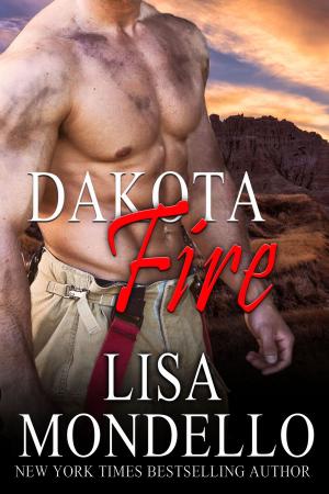 Cover of the book Dakota Fire by Alison Brodie