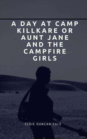 Cover of the book A Day at Camp Killkare Or Aunt Jane and the Campfire Girls by Justin Fike, Adam G. Fleming