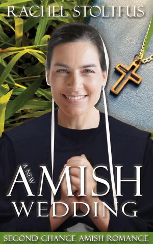 bigCover of the book A New Amish Wedding by 