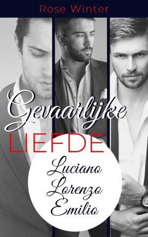 Book cover of Gevaarlijke Liefde - Luciano Lorenzo Emilio