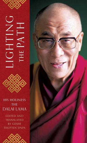 Book cover of Lighting the Path