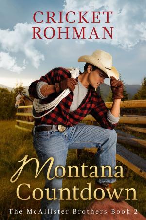 Cover of Montana Countdown