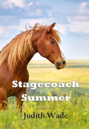 Book cover of Stagecoach Summer