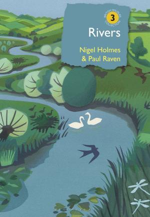 Cover of the book Rivers by Chrisoula Lionis