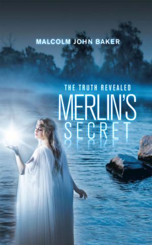 Cover of the book Merlin’s Secret by Thomas Harley