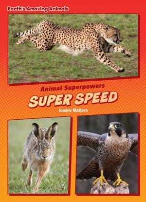 Cover of the book Super Speed by Jay Cynn