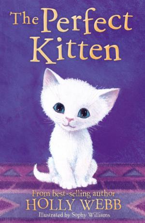 Cover of the book The Perfect Kitten by Various Authors