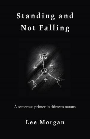 Cover of the book Standing and Not Falling by Nik Korpon