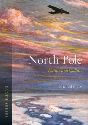 Cover of the book North Pole by Sander L. Gilman
