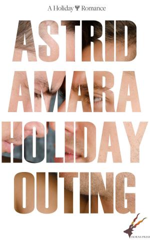 Cover of the book Holiday Outing by Duane Simolke
