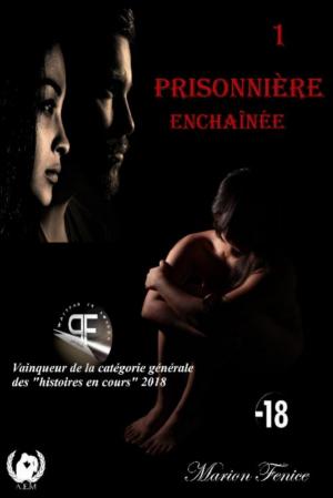 Cover of the book Prisonnière - Tome 1 by Nelly Topscher