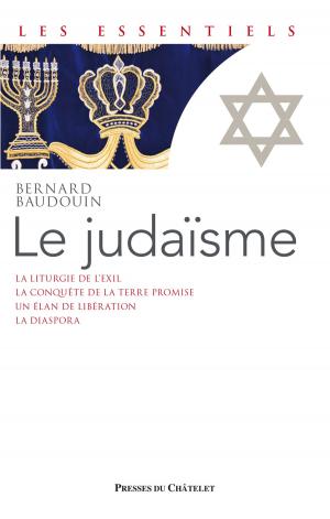 Cover of the book Le judaïsme by Lysa S. Ashton