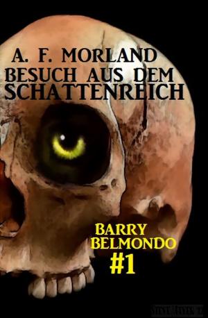 Cover of the book Besuch aus dem Schattenreich: Barry Belmondo #1 by Glenn Stirling