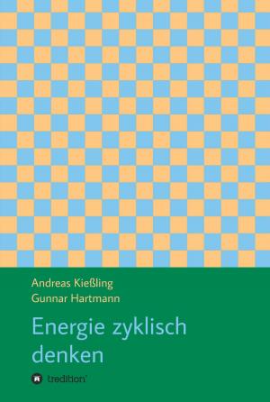 Cover of the book Energie zyklisch denken by Heike Salzwimmer