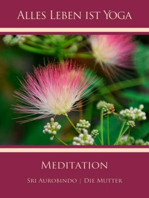 Cover of the book Meditation by Helga Schubert