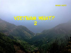 Book cover of Vietnam What? 2 English edition