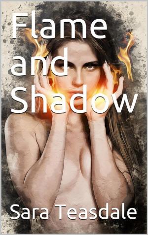 Cover of the book Flame and Shadow by Mitch Fairchild