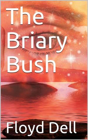 Book cover of The Briary Bush