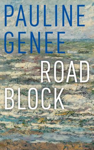 Cover of the book Roadblock by Pieter Waterdrinker