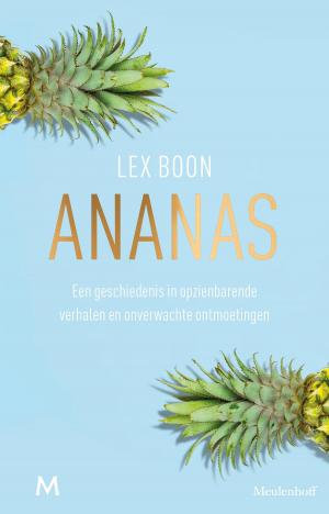 Cover of the book Ananas by Jackie van Laren