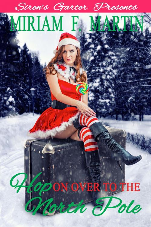 Cover of the book Hop on Over to the North Pole by Miriam F. Martin, Hermit Muse Publishing