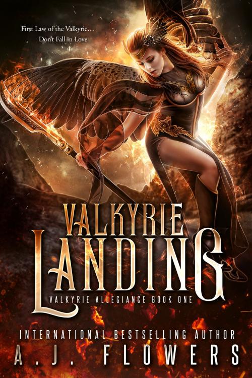 Cover of the book Valkyrie Landing by A.J. Flowers, FCC Books