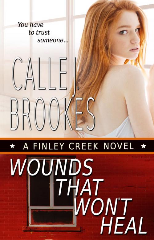 Cover of the book Wounds That Won't Heal by Calle J. Brookes, Lost River Lit Publishing, L.L.C.