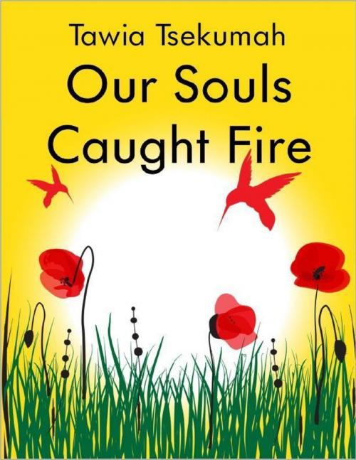 Cover of the book Our Souls Caught Fire by Tawia Tsekumah, Lulu.com