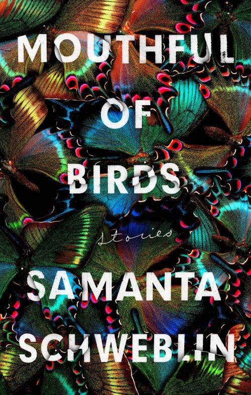 Cover of the book Mouthful of Birds by Samanta Schweblin, Penguin Publishing Group