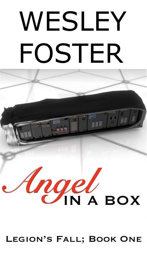 Cover of the book Angel in a Box by Wesley Foster, Wesley Foster