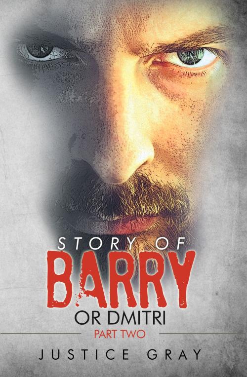 Cover of the book Story of Barry: or Dmitri Part Two by Justice Gray, Justice Gray