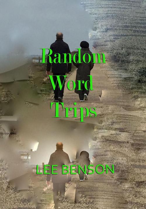 Cover of the book Random Word Trips by Lee Benson, APS Publications