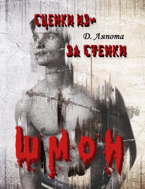 Cover of the book Сценки из-за стенки. ШМОН by D. Lyapota, D. Lyapota