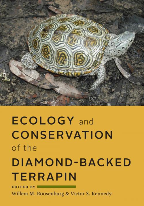 Cover of the book Ecology and Conservation of the Diamond-backed Terrapin by , Johns Hopkins University Press