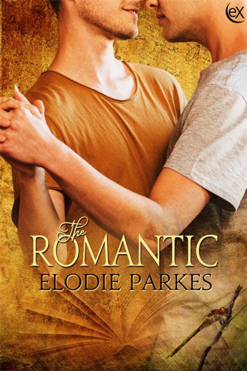 Cover of the book The Romantic by Elodie Parkes, eXtasy Books Inc