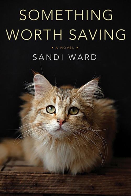 Cover of the book Something Worth Saving by Sandi Ward, Kensington Books