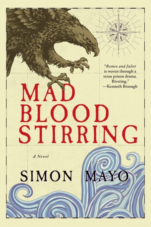 Cover of the book Mad Blood Stirring: A Novel by Simon Mayo, Pegasus Books